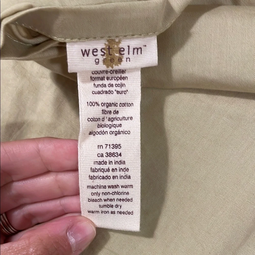 West Elm Euro Shams, Set of 2